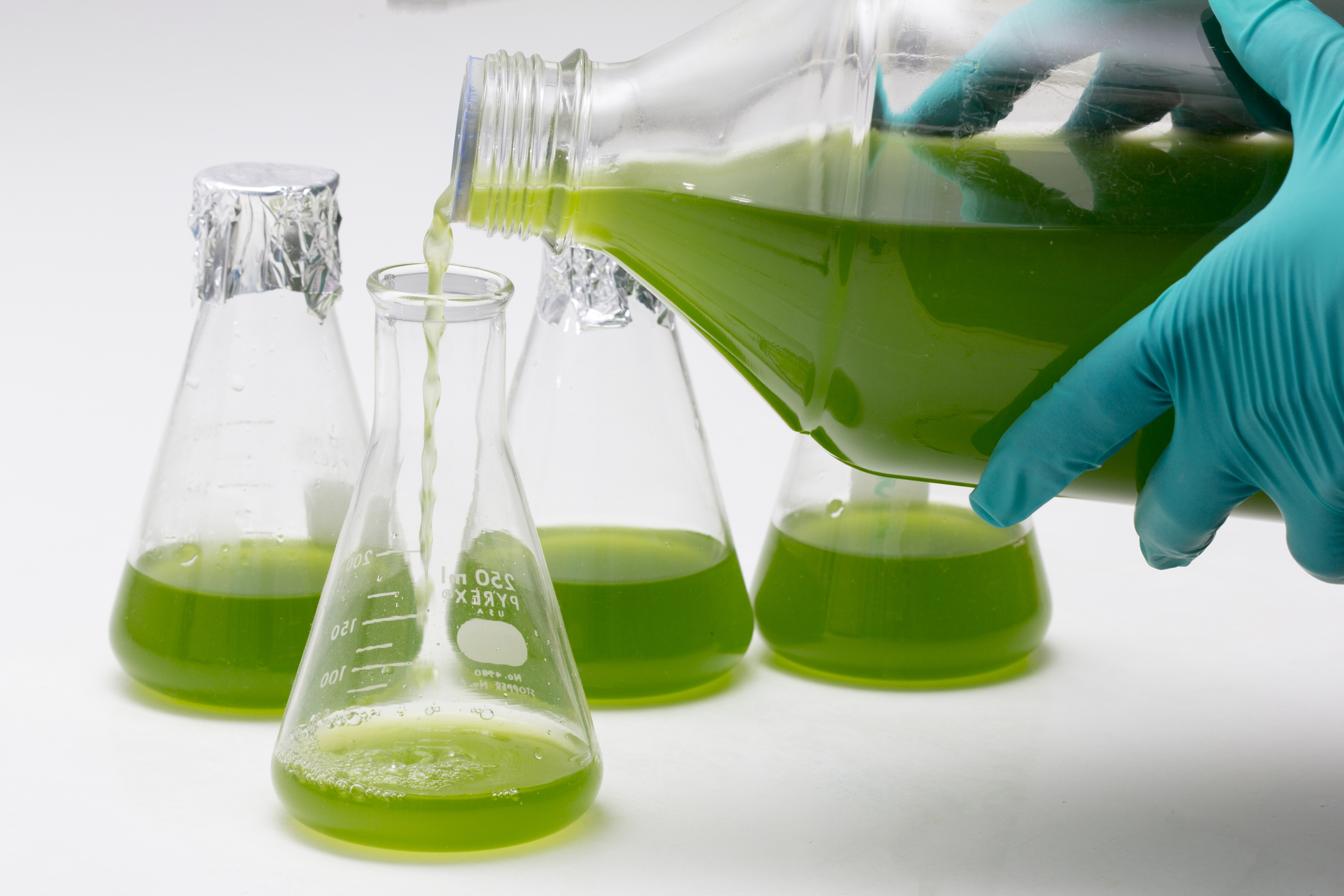 une personne versant une solution verte dans une fiole