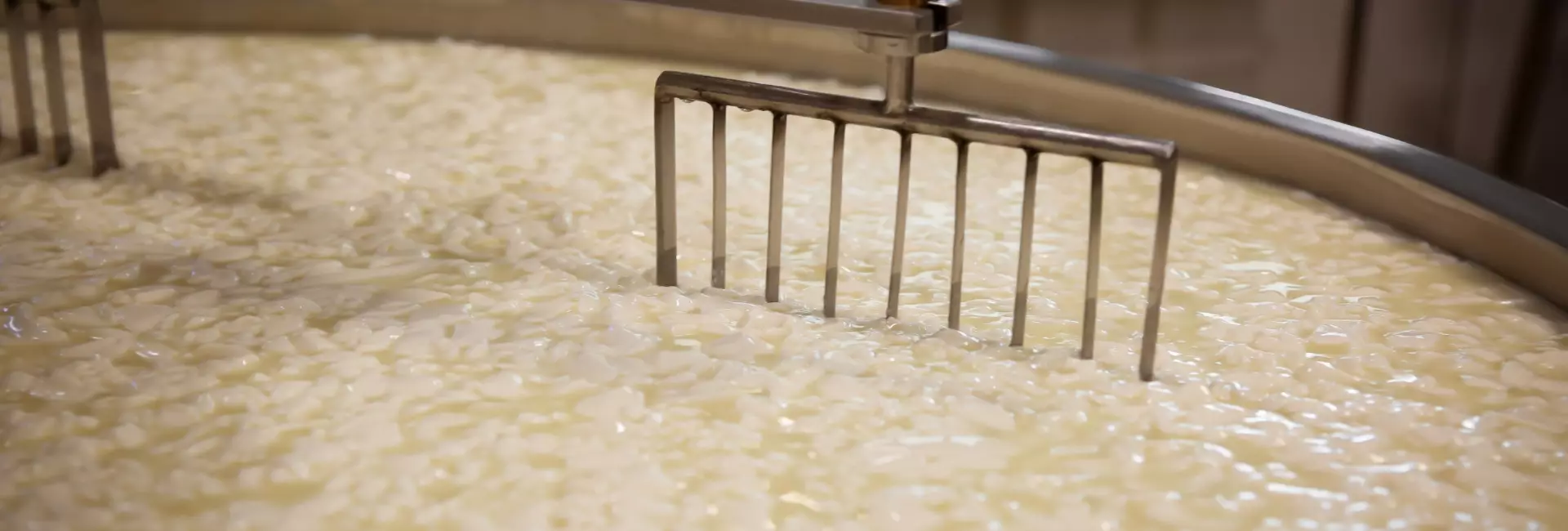 Caillé et lactosérum en cuve à l'usine de fromage