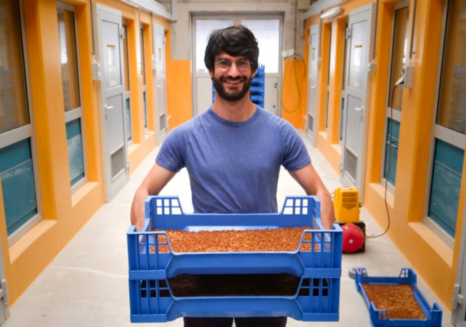 Employé de Lowimpactfood tenant un bac de frais