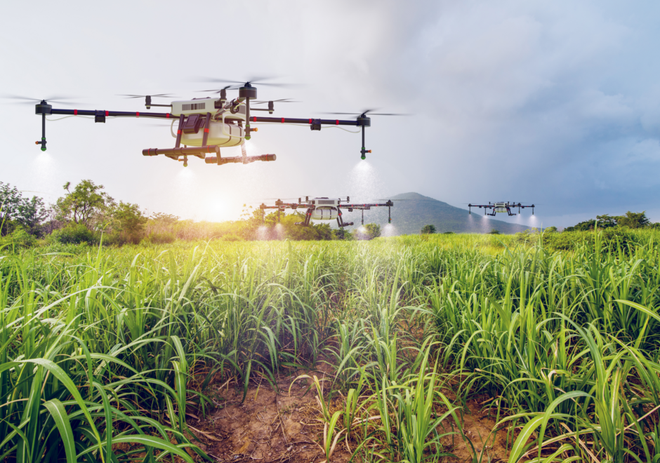 Drone dans un champs